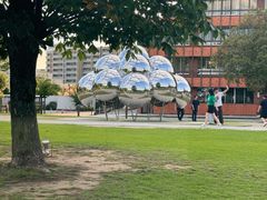 -金泽21世纪美术馆