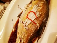 清蒸武昌鱼-亢龙太子酒轩(东湖店)