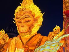 -海合安成都极地海洋公园
