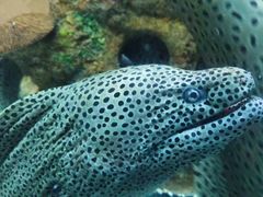 -乌鲁木齐海洋馆
