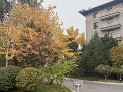 -网动网球培训(北京友谊宾馆校区)