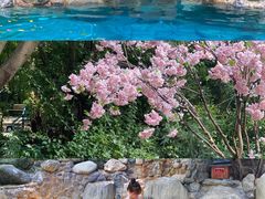 -湖泉半山温泉(湖泉生态园)