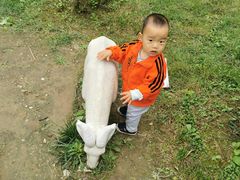 -燕郊植物园