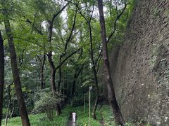 -九华山公园
