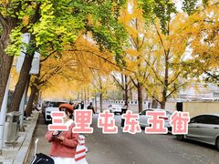 -三里屯东五街银杏大道