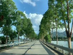 -盐洲岛