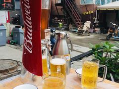 -猫姑娘大盘鸡(商城路店)