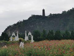-南沙蒲洲花园