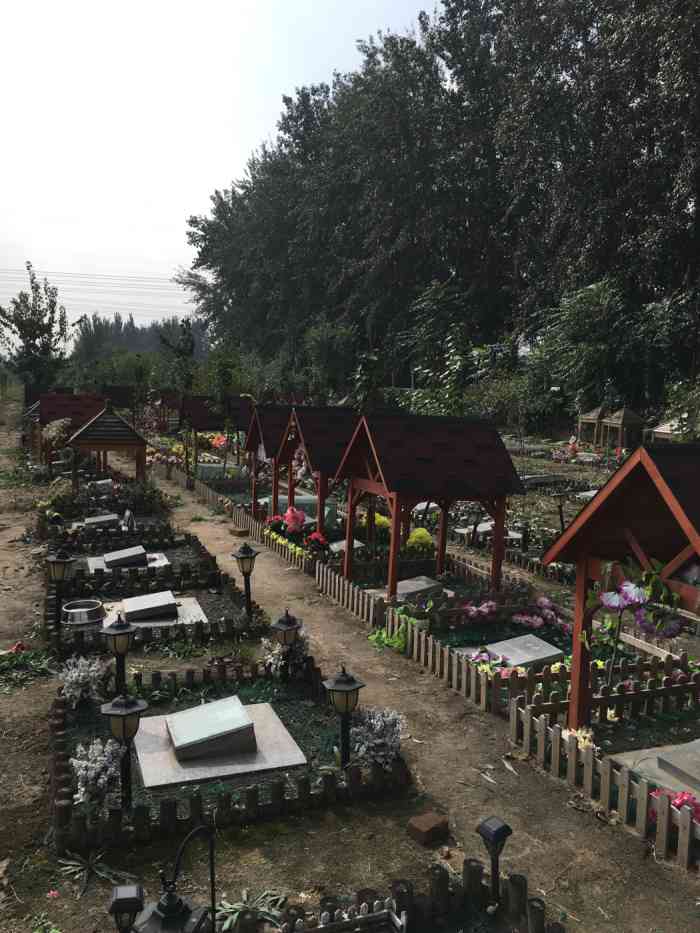 天使城宠物墓园-"今天去墓地看看小黑.一到天使城吓了一.