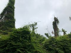 -罗三妹山