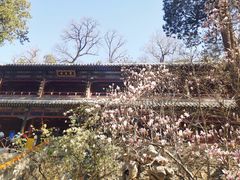 -潭柘寺景区