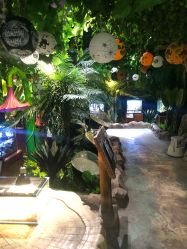 -酷嗒动物文化乐园(cutezoo西溪乐天城店)