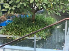 -深圳四季酒店·馥自助餐厅