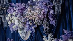 -明典婚礼策划·婚车租赁·婚纱摄影