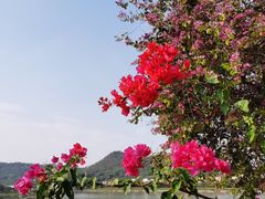 -风云岭森林公园