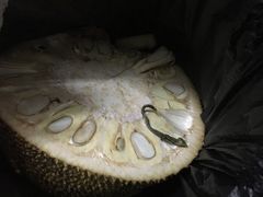 -沙扒湾