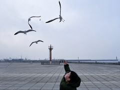 -东港音乐喷泉广场