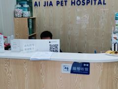 -爱佳宠物中心医院24H·CT·骨外科·猫专科(瑶海万达店)