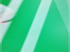 -先锋羽毛球馆