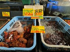 -南纪白浜Toretore市场