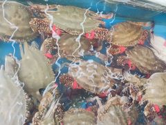 -87号烧烤海鲜·大排档(金沙滩店)