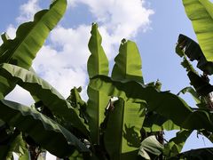 -文昌阁-老东门遗址