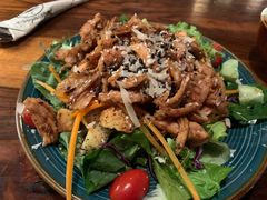 日式照烧鸡肉沙拉-萨尔瓦多Salvador's