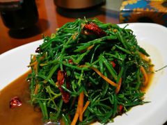 苦菜沙葱拼-十二毡房蒙餐·蒙古包