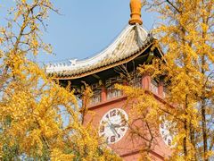 -四川大学(望江校区)