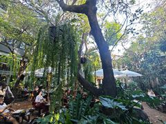 -Fern Forest Cafe