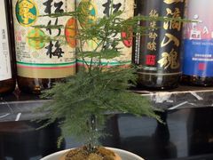 -沼津港精致料理·寿喜烧·烧鸟(龙湖南桥天街日料榜单店)