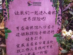 -正佳雨林生态植物园