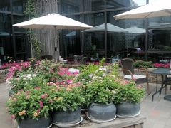 -瓦库茶馆17号(海汇港店)