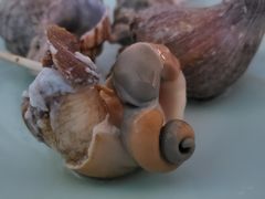 -御唐府海珊瑚主题餐厅