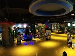 -幸福花欢乐世界(东辰广场A座店)