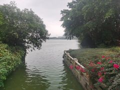 -海珠湖公园