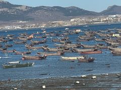 -春妮海味饭店·海景餐厅·海菜包子·大连海鲜
