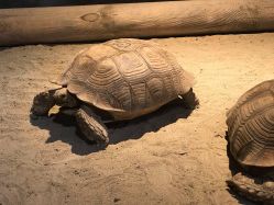 -酷嗒动物文化乐园(cutezoo西溪乐天城店)