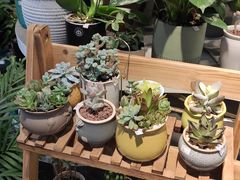 -Olé精品超市(上海虹桥南丰城店)