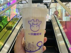 -一只酸奶牛(春熙路店)