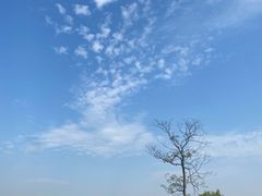 -良渚古城遗址公园
