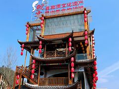 -印象鲵宴·张家界地标美食名片(溪布街店)