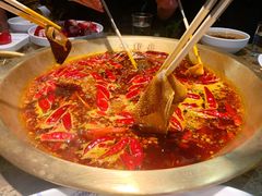 精品鲜毛肚-小龙坎火锅(春熙太古里店)
