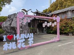 -南汇桃花村