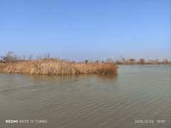 -盐城丹顶鹤湿地生态旅游区