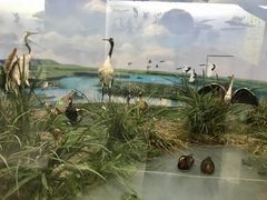 -国家自然博物馆