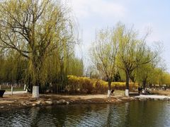 -前关湿地公园