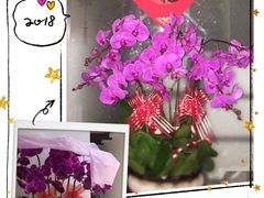 -双季花艺园艺市场(浦东店)