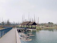 -白鹭湾湿地公园