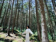-芦芽山旅游度假区